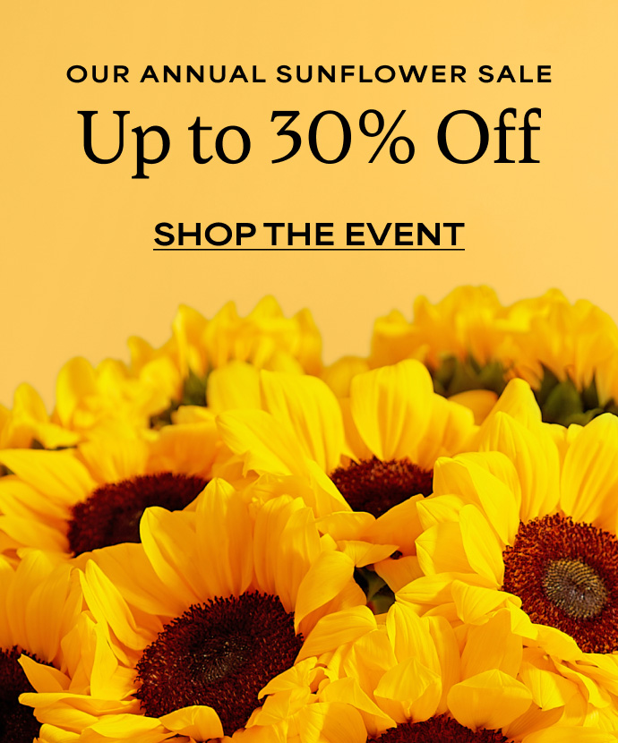 Sunflower Sale