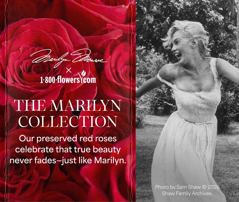 Marilyn Monroe Preserved Roses | Beauty That Never Fades