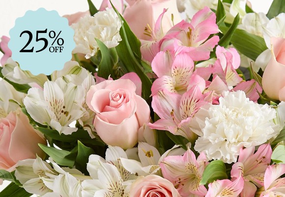 Deal of the Week >