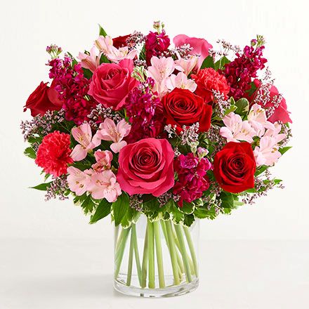 love and romance silo 191369 440x440 v4