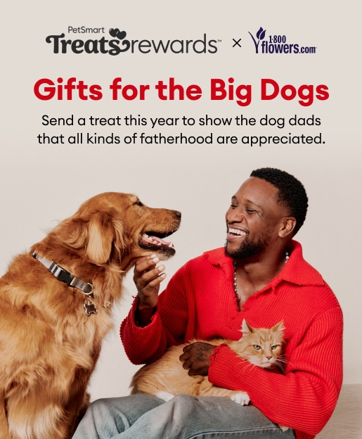 Pet Smart