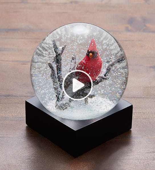 Cardinal Snow Globe