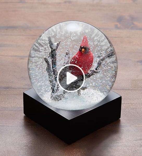 cardinal snow globe hobby lobby