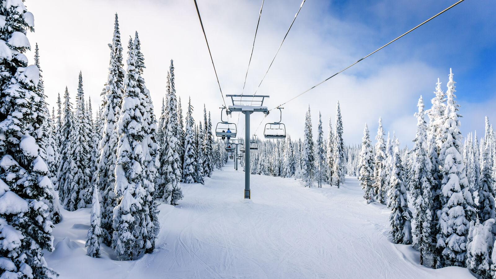 Passenger-Ropeways-Chairlift-safety-snow-trees-medium.jpg