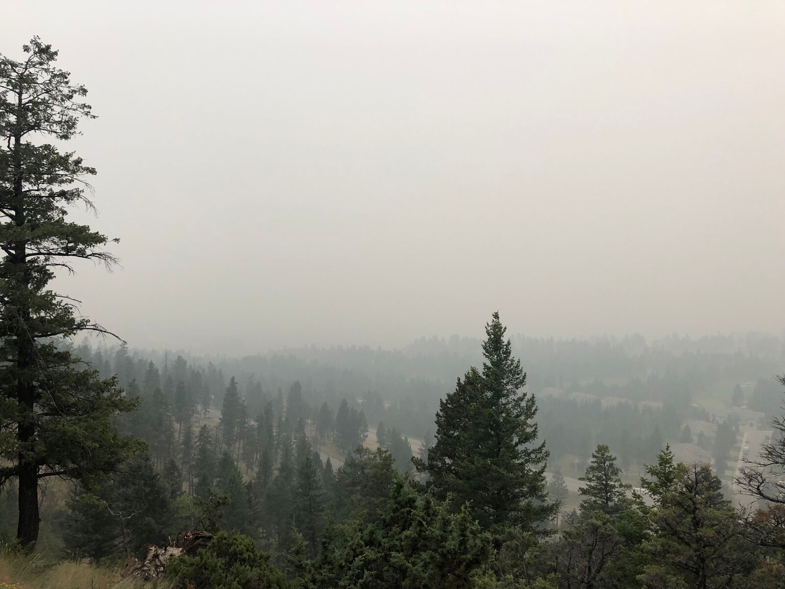Wildfire_smoke.jpg