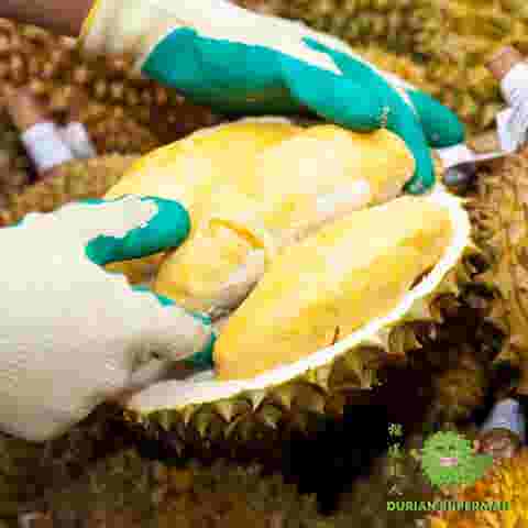 Asian food at Durian SuperMan