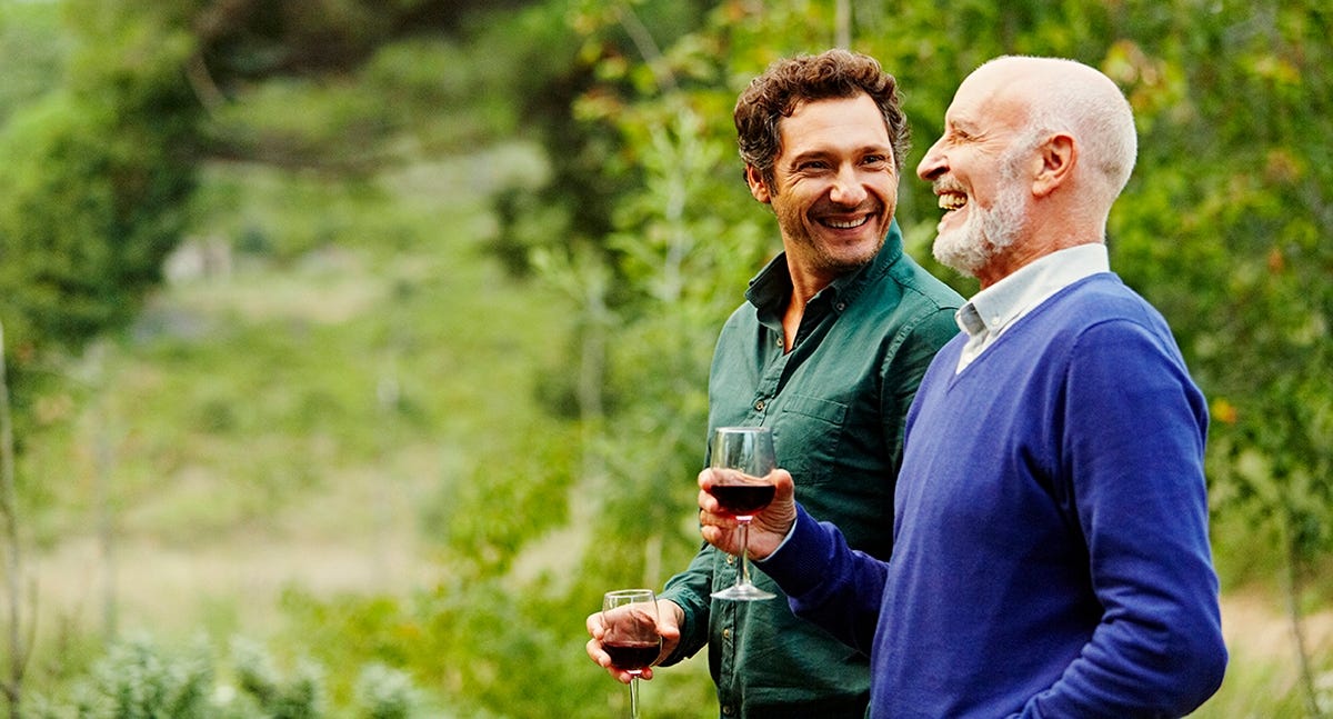 Two men holding glasses looking at a vineyard together