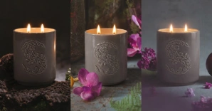 Three lit Scentsy Candles in gray ceramic containers are displayed with fragrance ingredients like flowers and fruit against a neutral background. 