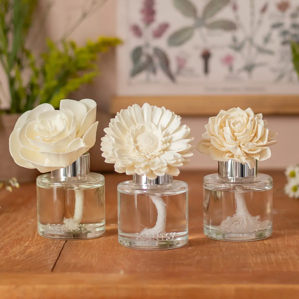 Three Fragrance Flowers