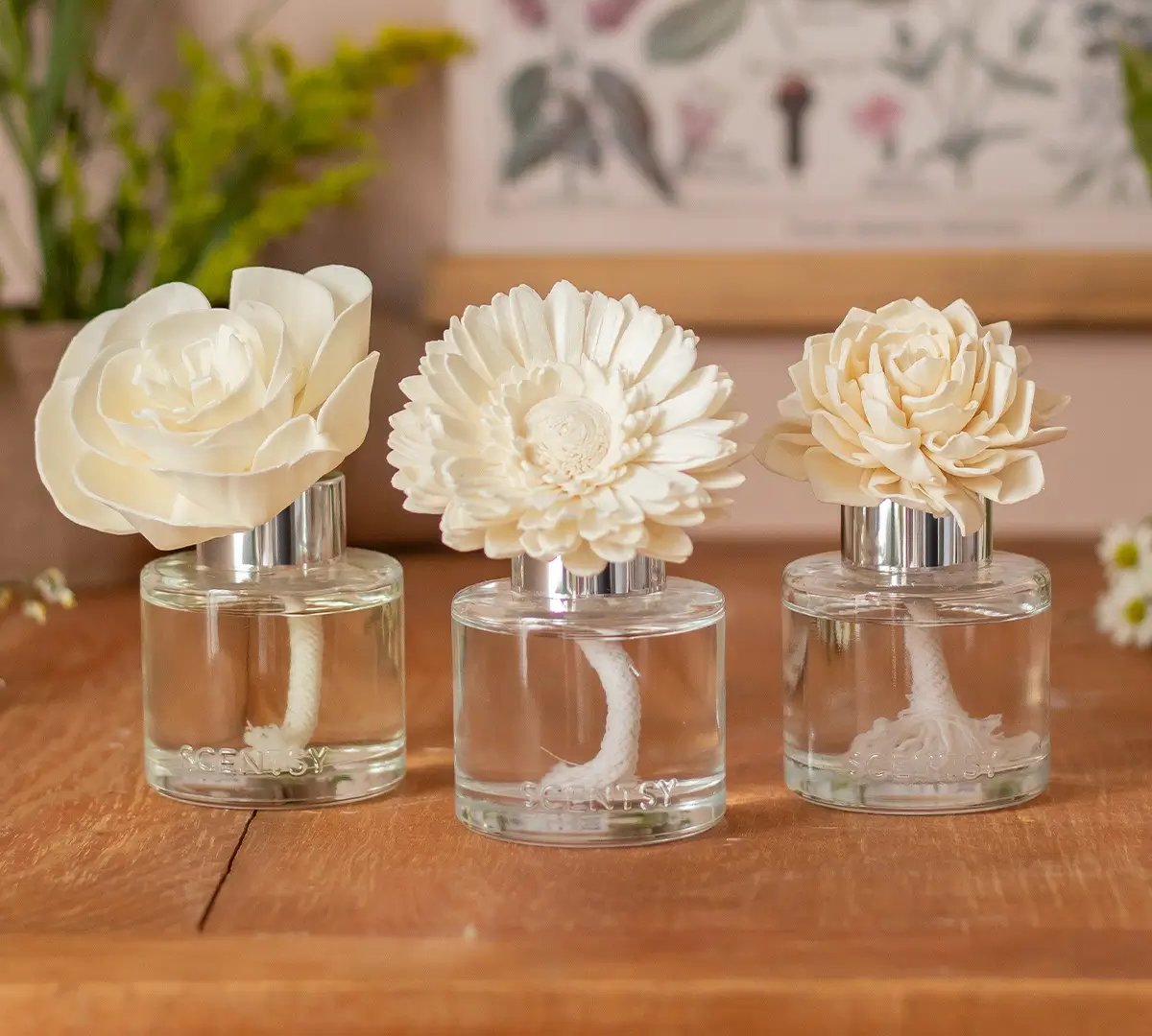 Three Fragrance Flowers