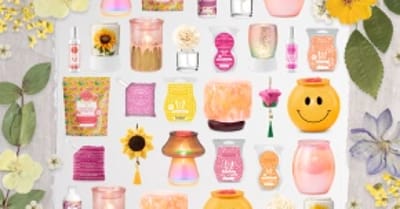 Eine Collage aus Bildern von Scentsy Produkten.