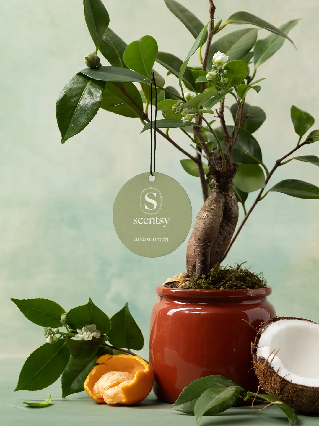 Amazon Rain Scent Circle