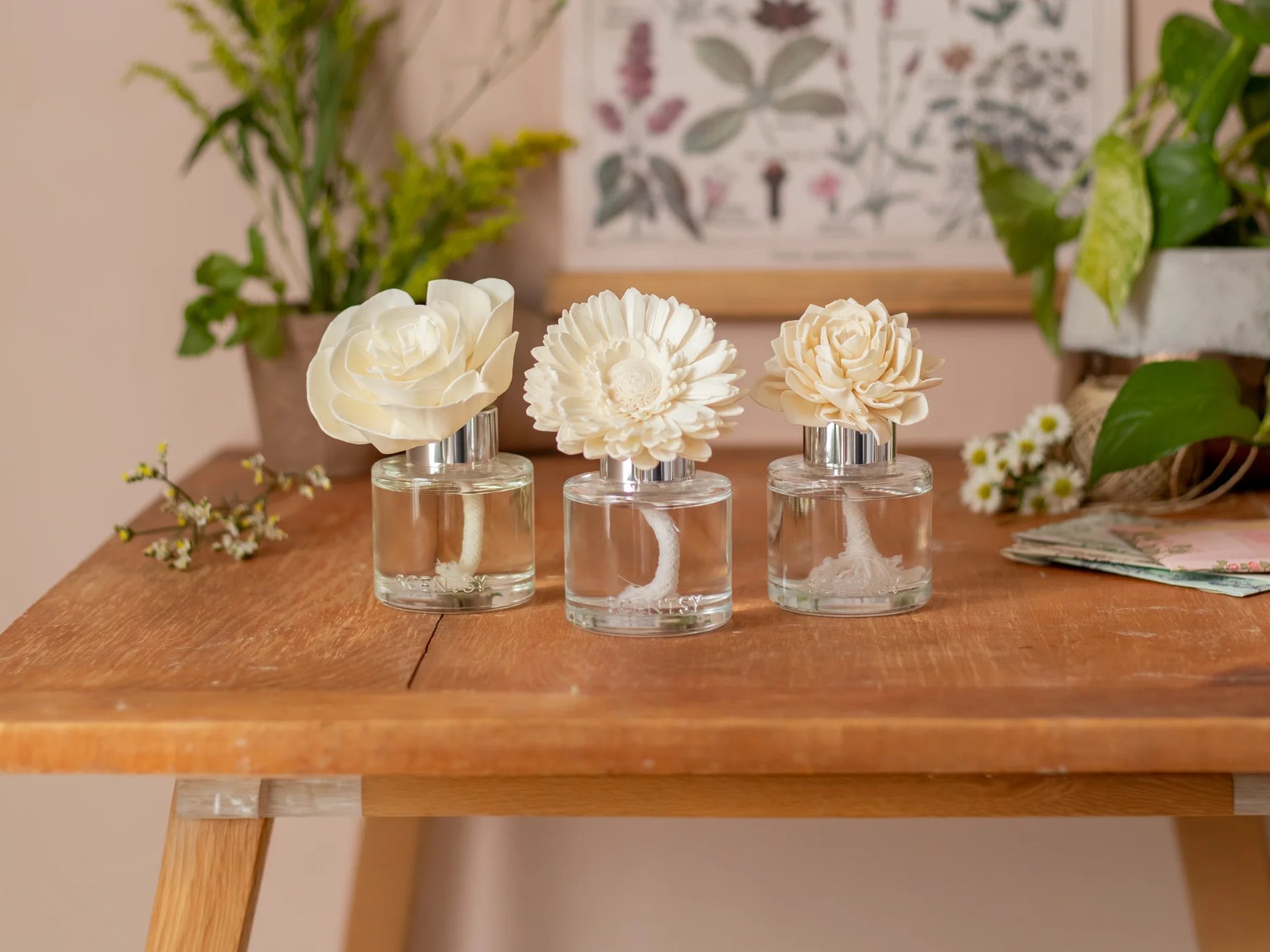 Fragrance Flowers