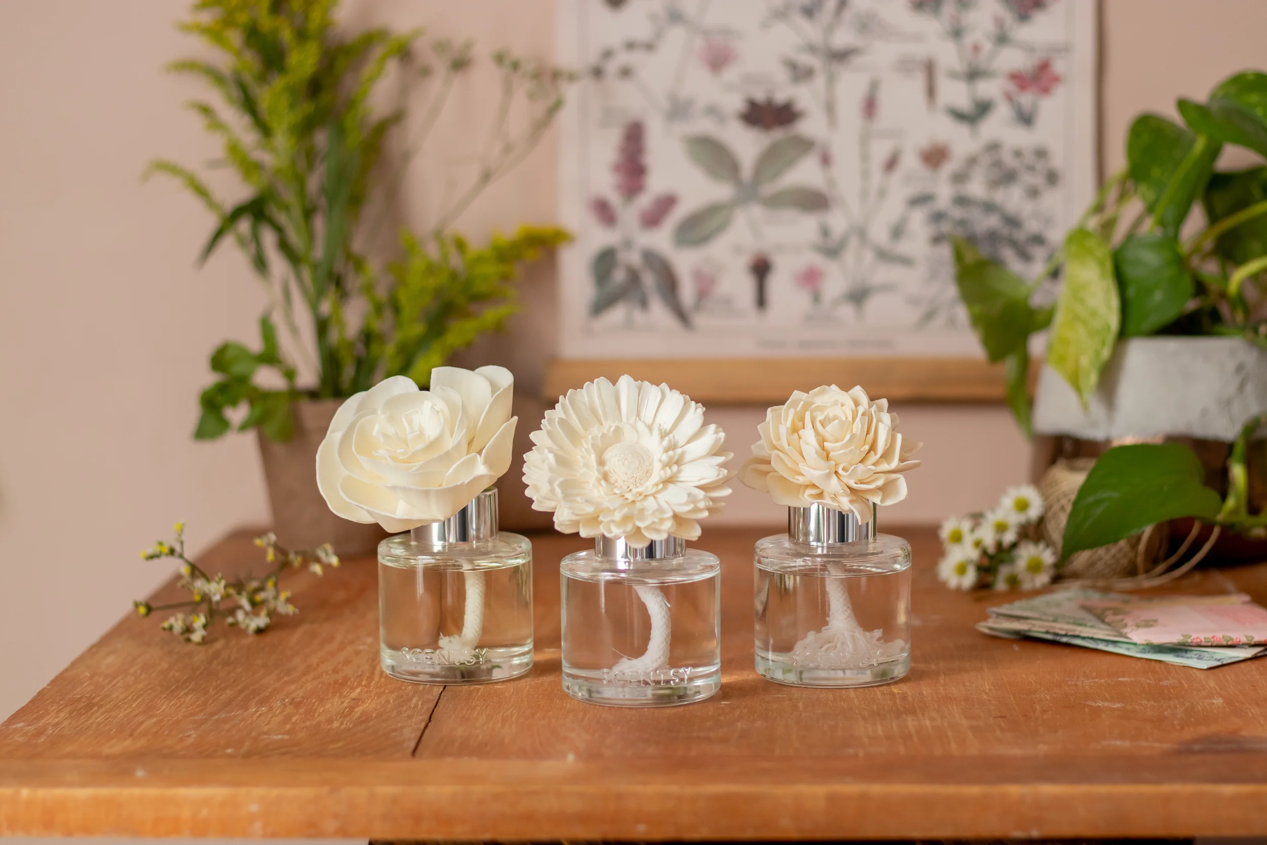 Fragrance Flowers