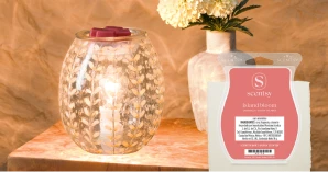 Se muestra un Calentador White Marigold encendido junto a una jarra de flores y una Barra Scentsy Island Bloom sobre un fondo neutro.