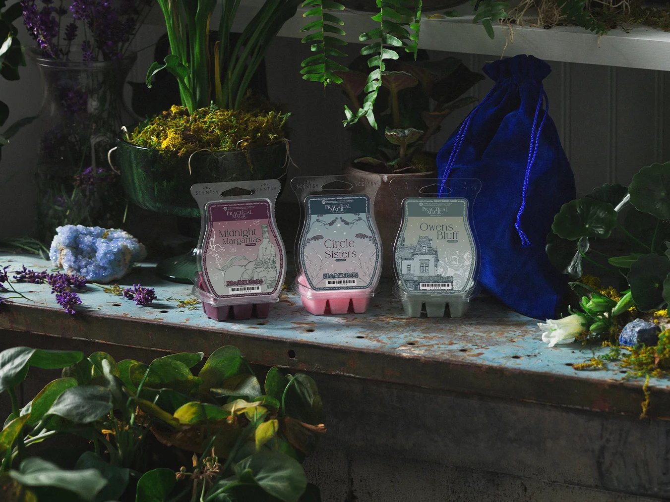 The Practical Magic – Scentsy Wax Collection is displayed among plants.