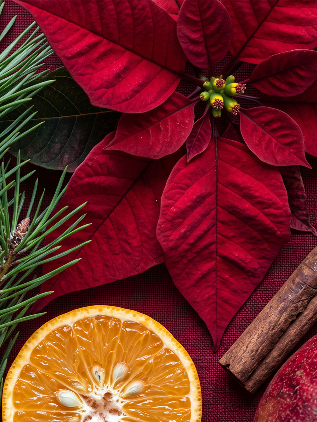 A close-up flat lay of red poinsettia leaves, pine sprigs, a cinnamon stick, and a citrus slice styled to evoke Scentsy's holiday wax fragrance notes.