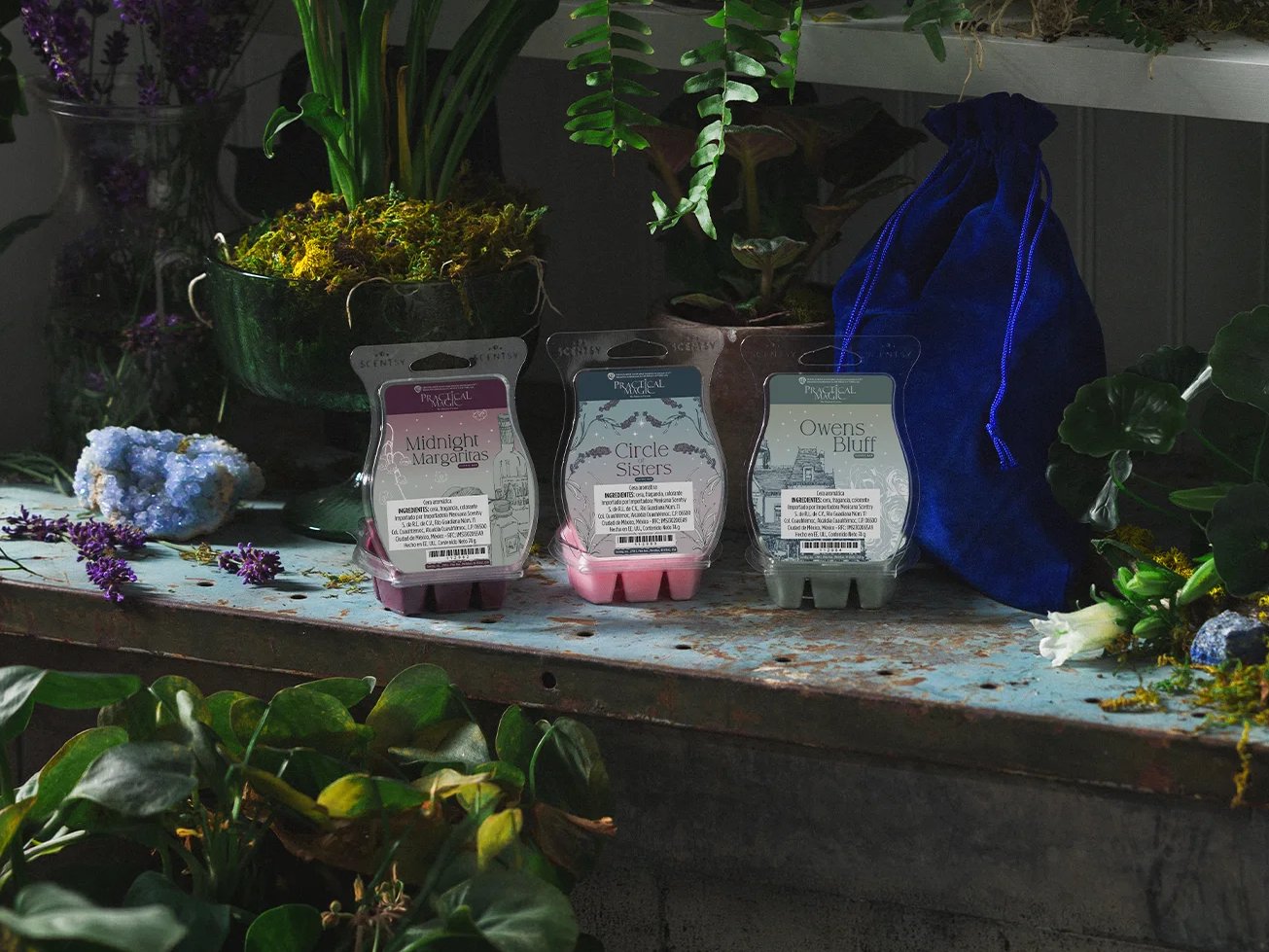 La Colección de Cera Scentsy – Practical Magic se muestra entre plantas.