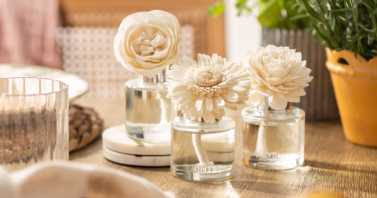 Scentsy fragrance flower diffusers with cream-colored rose, gerbera daisy, and dahlia blooms in clear glass bottles on a wood-grained surface with white ceramic base and greenery
