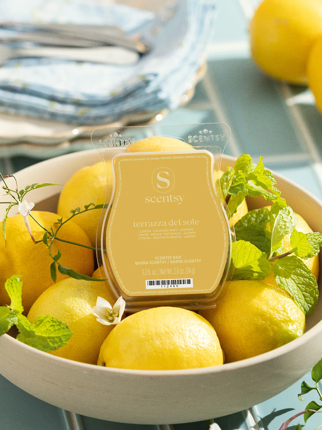 Terrazza Del Sole Scentsy Bar