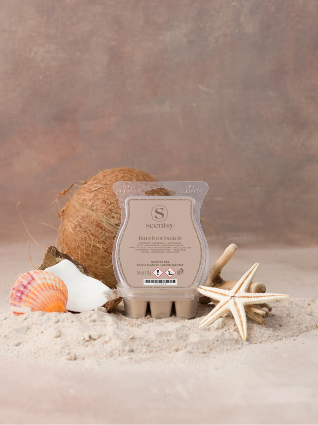 Barefoot Beach Scentsy Bar sitting by coconut and seashells