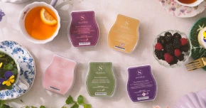 Scentsy Bars from the Botanical Wax Collection pictured with tea, berries, and herbs arranged on a linen tablecloth