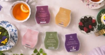 Scentsy Bars from the Botanical Wax Collection pictured with tea, berries, and herbs arranged on a linen tablecloth