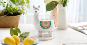 Llama Warmer