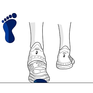 Neutral Pronation
