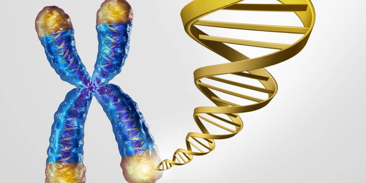 telomeres-dna-concept.jpg