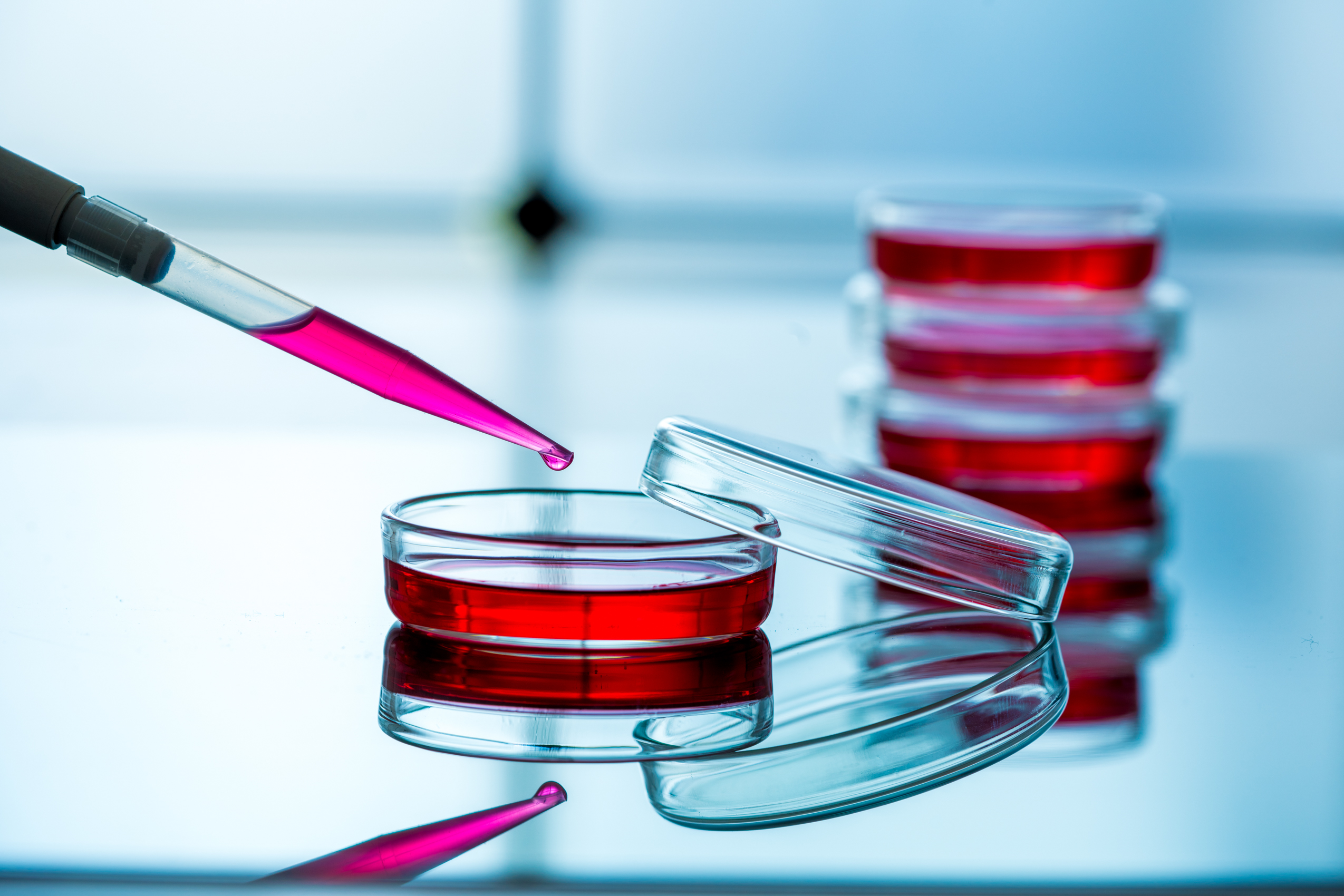 Ensure Proper Controls in Your CRISPR Experiments