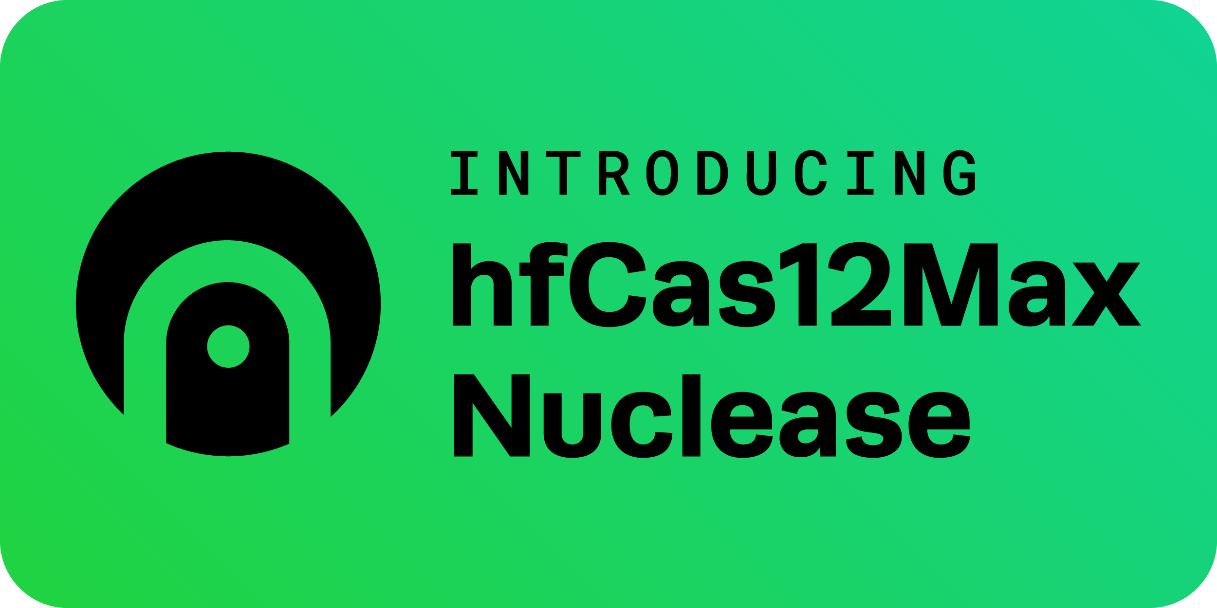 hfCas12Max - High Fidelity Cas12 Nuclease