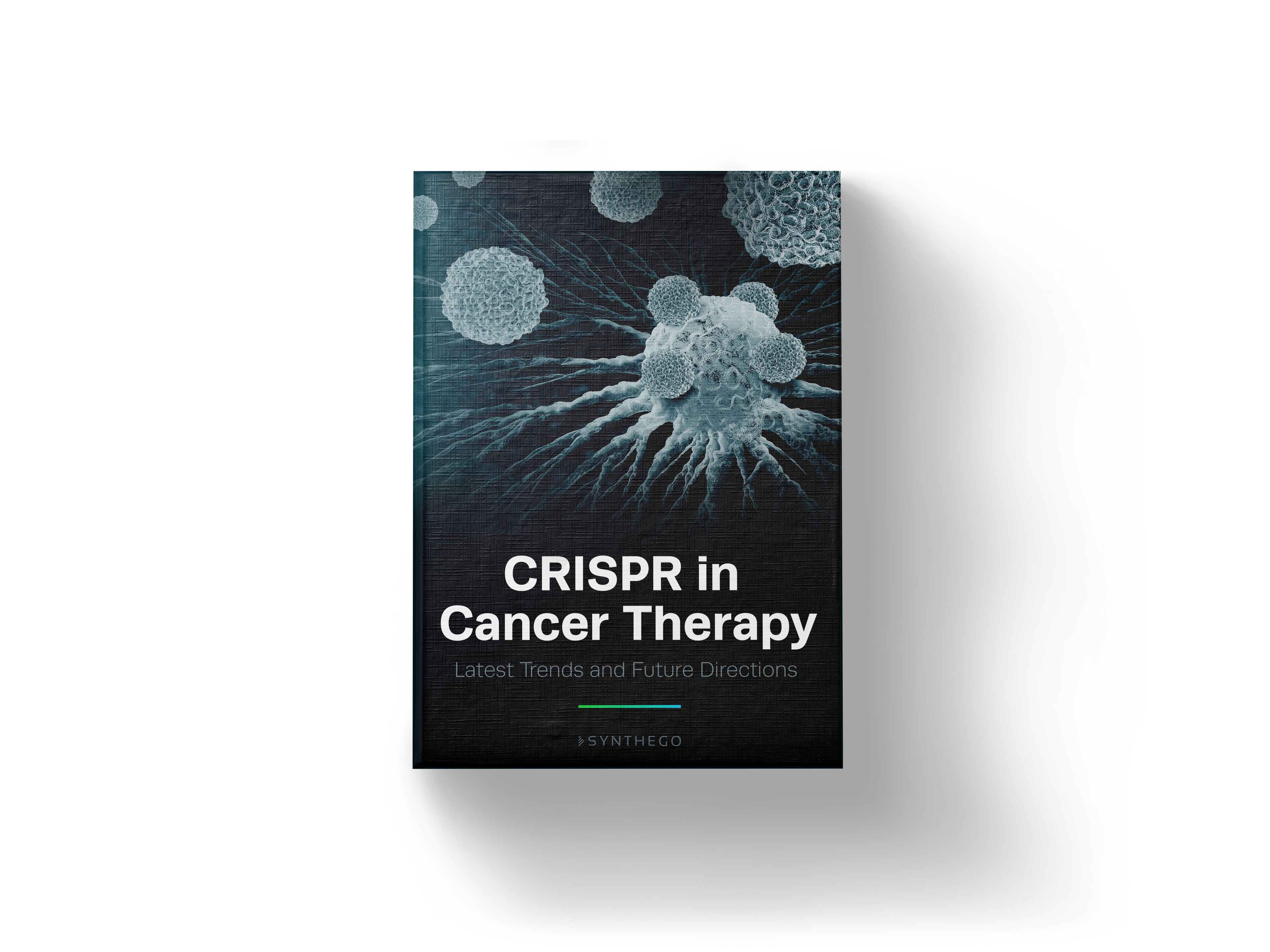 CRISPR in Cancer Therapy eBook