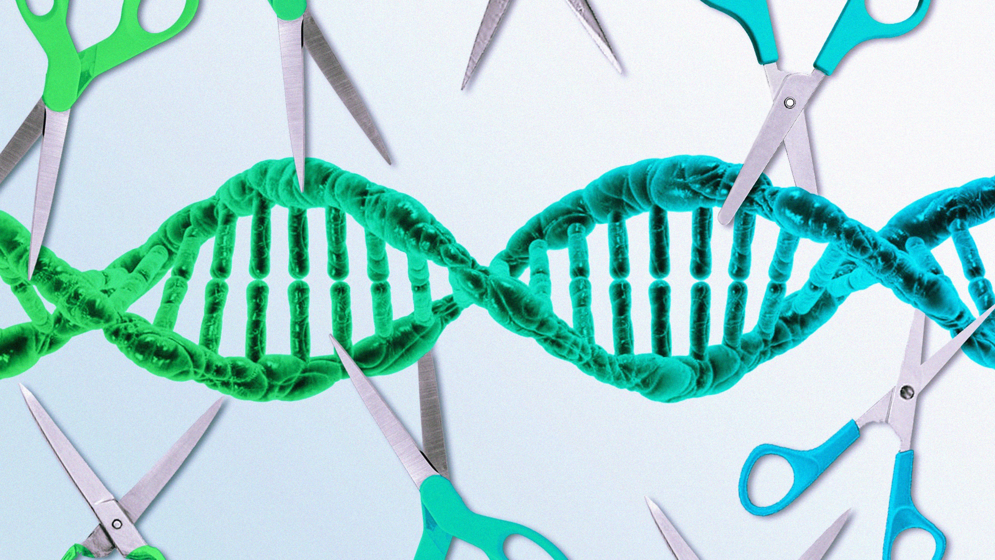 Alternatives to CRISPR-Cas9: Nucleases for Next-Gen Therapy