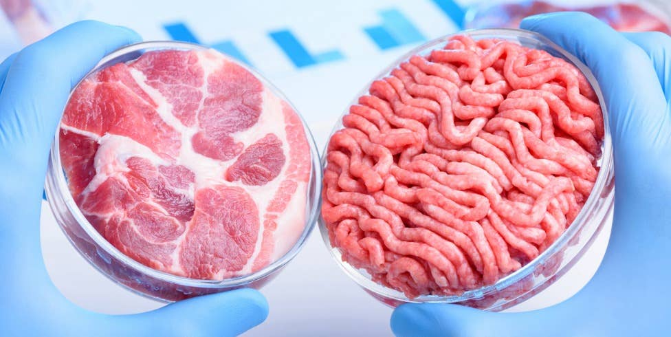 The future of food? Slaughter-free meat (not available for sale yet!) , lab meat