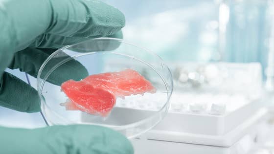 What is lab-grown meat? How it's made, environmental impact and
