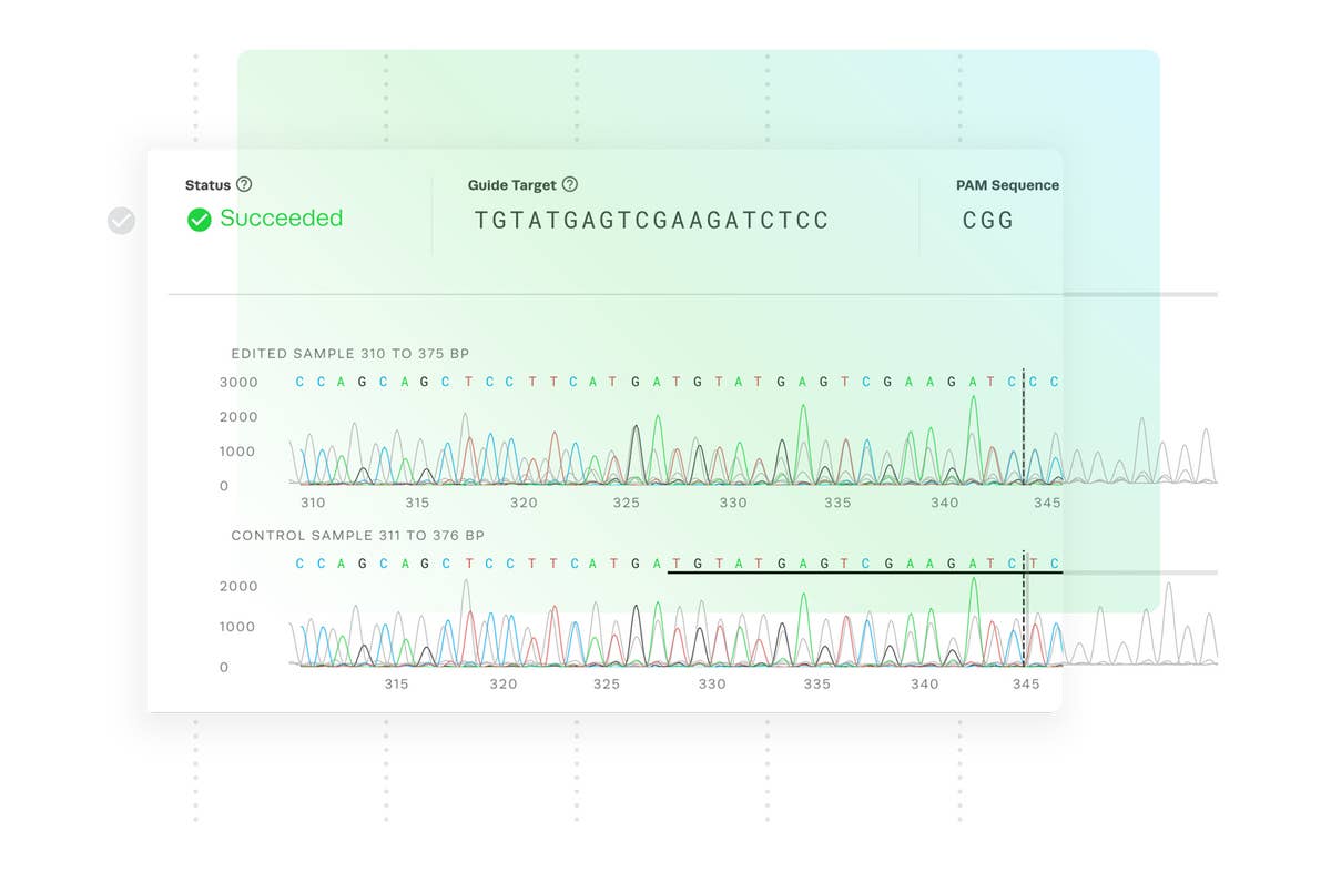 Guide To Understanding Crispr Data Analysis Scores