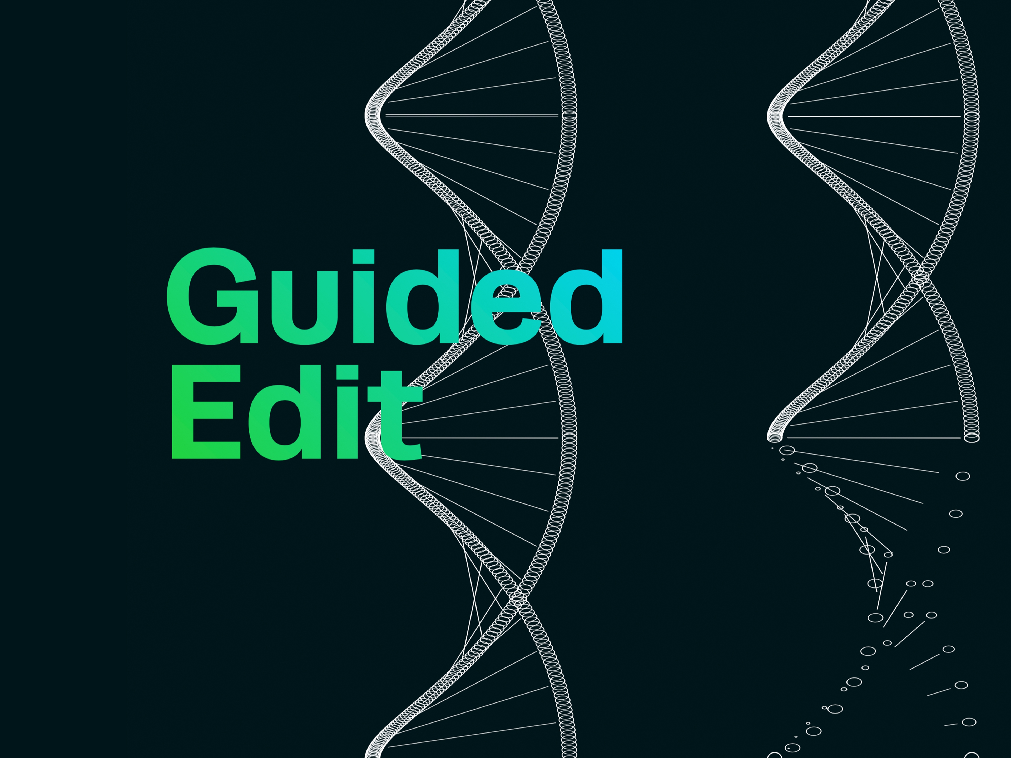 What is the PAM Sequence in CRISPR Experiments, and Why is it Important?