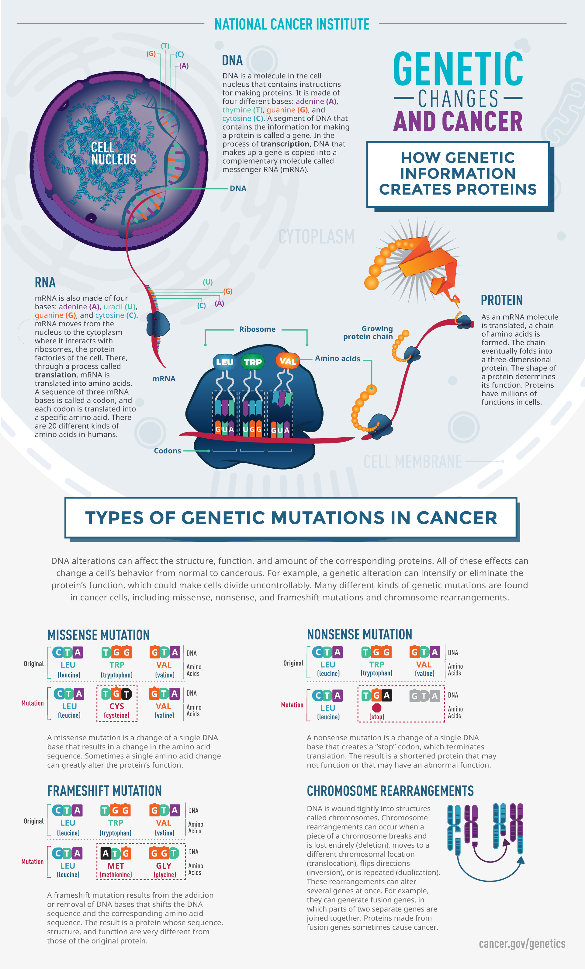 CRISPR Is Revolutionizing Cancer Research