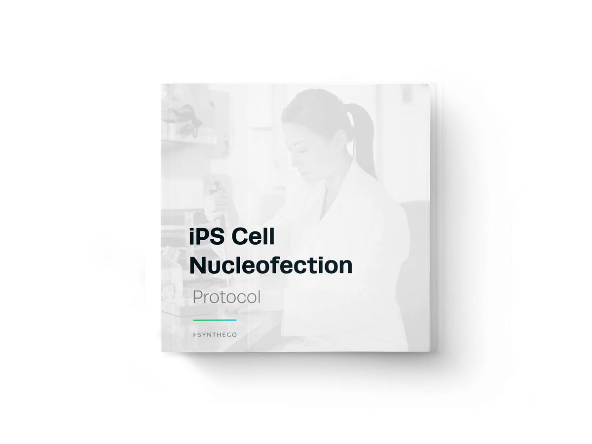 iPS Cell Nucleofection Protocol