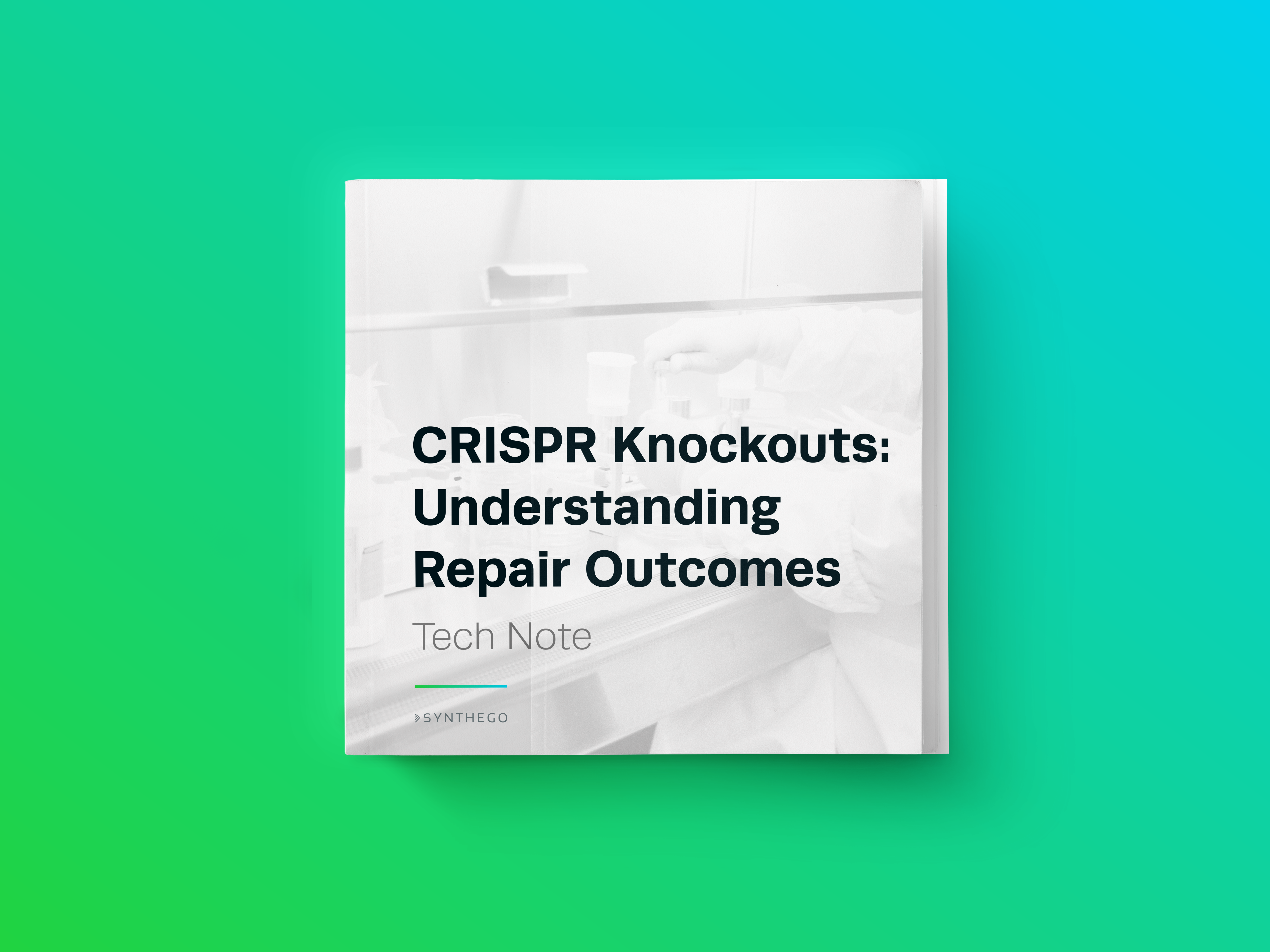 Differences Between Indel Percentage, Knockout Score, and KnockIn Score