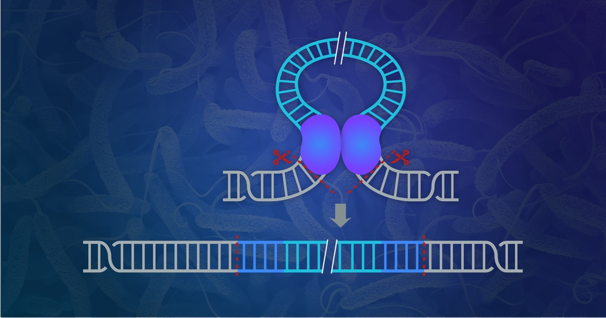 CRISPR Leaps Forward with Jumping Gene Inserts