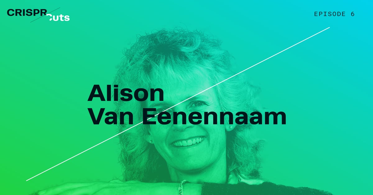 Gmo Cows How Crispr Could Improve Cattle Farming With Podcast