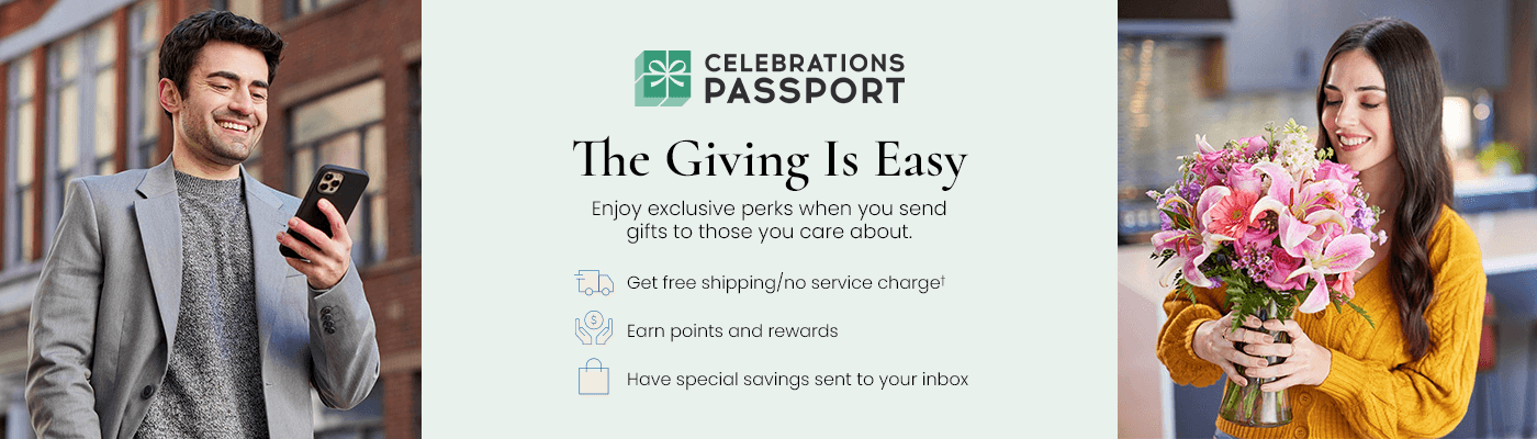 Passport Hero Image
