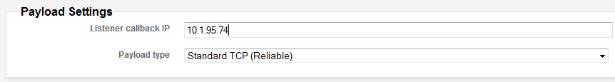 Payload_settings.jpg