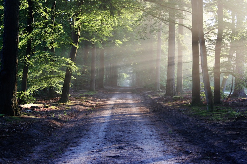 InsightAppSec Feature Highlights: On-Premise Engines, JIRA Integration, and More