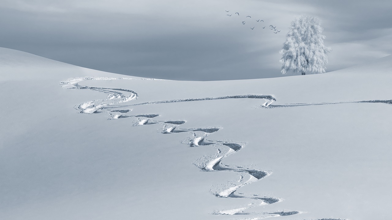 GDPR Preparation March and April:  Course Correct