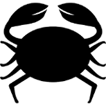 cancer-1.png