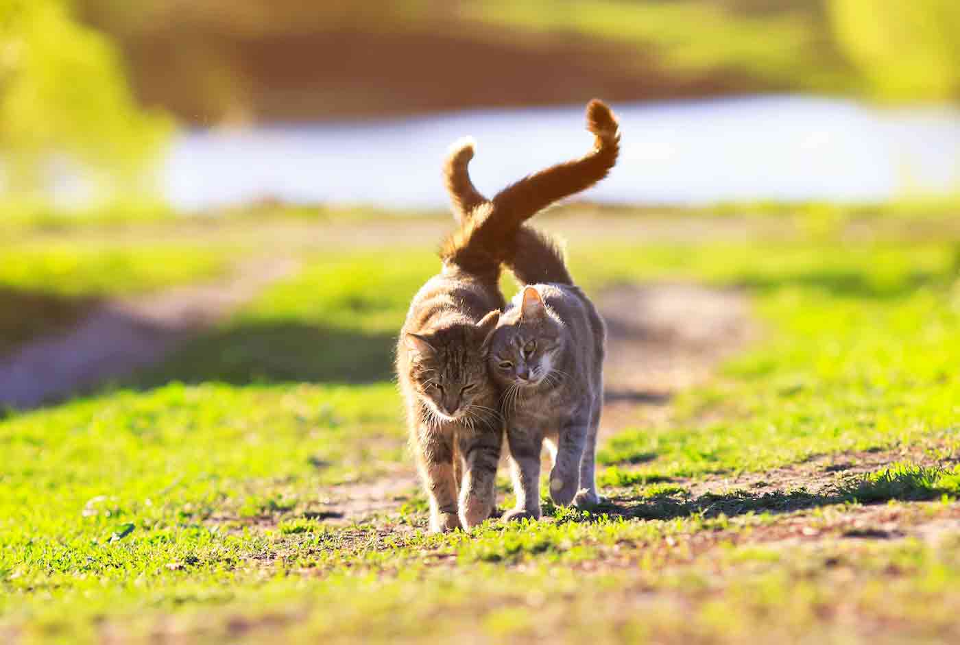 R7-2019-32: Denial-of-Service Vulnerabilities in Beckhoff TwinCAT PLC Environment