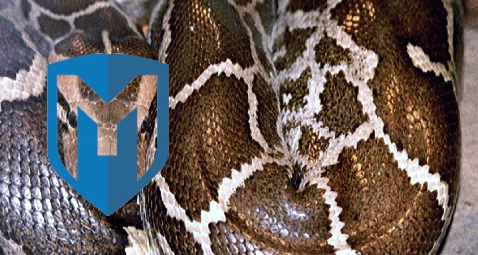 Metasploit Wrapup 4/7/18